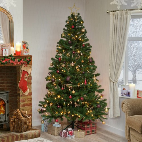 Christmas tree xmas colorado - tree,