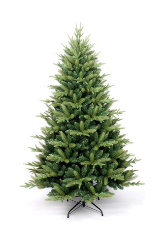 Virginia spruce christmas - virginia,