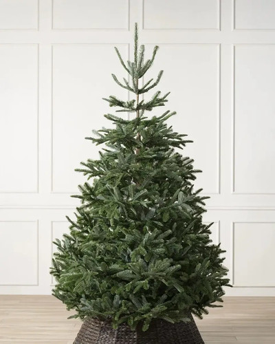 Christmas tree balsam hill - christmas,