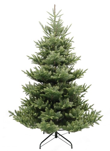 7ft iowa fir life - 7ft,