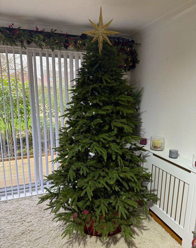 Christmas tree approx 7ft 8ft - tree,, 7ft/8ft