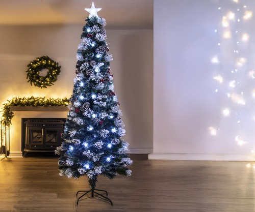 Christmas tree world the - christmas,