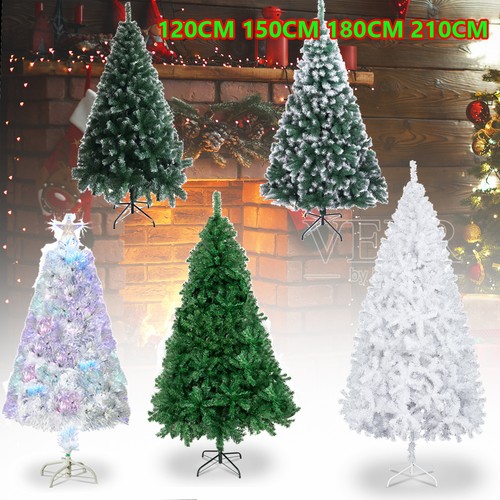 Christmas tree xmas colorado - xmas,