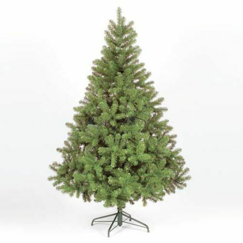 Christmas tree xmas colorado - tree, xmas,