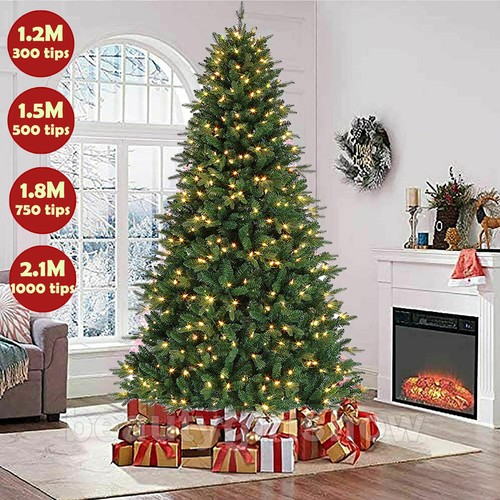 Green christmas tree - tree, with
